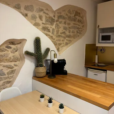 Apartment Le Terra Cotta - Climatise - Calme Centre De Dijon
